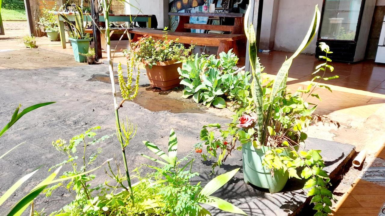 Hostal Sol Iguazu Porto Iguaçu Exterior foto